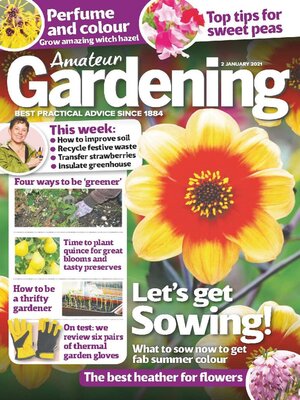 cover image of Amateur Gardening